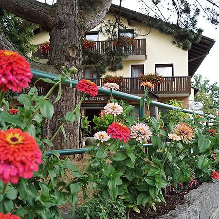 Hotel-Landgasthof Henghuber Rötz Exteriör bild